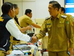 Pj Bupati Barut Paparkan LPJ Triwulan I Periode Kedua di Itjen Kemendagri