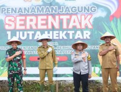 Pj Bupati Muhlis Tanam Jagung Bersama, Wujudkan Program 1 Juta Hektare