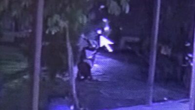 Motor Mahasiswa Raib Saat Salat Isya, Pelaku Manfaatkan Kunci yang Tertinggal di Masjid UPR