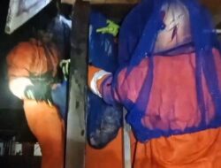 Hujan Deras Tak Halangi Petugas Damkar Palangka Raya Selamatkan Warga dari Ancaman Tawon Vespa