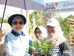 TP-PKK Barito Utara Dorong Kemandirian Pangan Lewat Gerak Tanam Buah