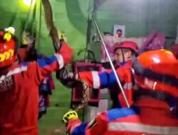 Respons Cepat Damkar Palangka Raya Evakuasi Ular Piton 4 Meter, Warga Dihimbau Waspadai Satwa Liar di Musim Pancaroba