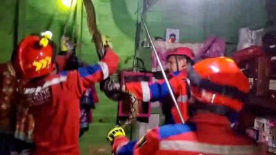 Respons Cepat Damkar Palangka Raya Evakuasi Ular Piton 4 Meter, Warga Dihimbau Waspadai Satwa Liar di Musim Pancaroba