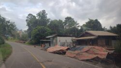 Dugaan Penumpukan Kayu Tanpa Dokumen di Jalur Lempenang–Benangin Jadi Sorotan