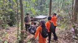 Dua Pemuda Hilang Saat Berburu di Hutan Mantangai, Tim SAR Sisir Lokasi dengan Drone